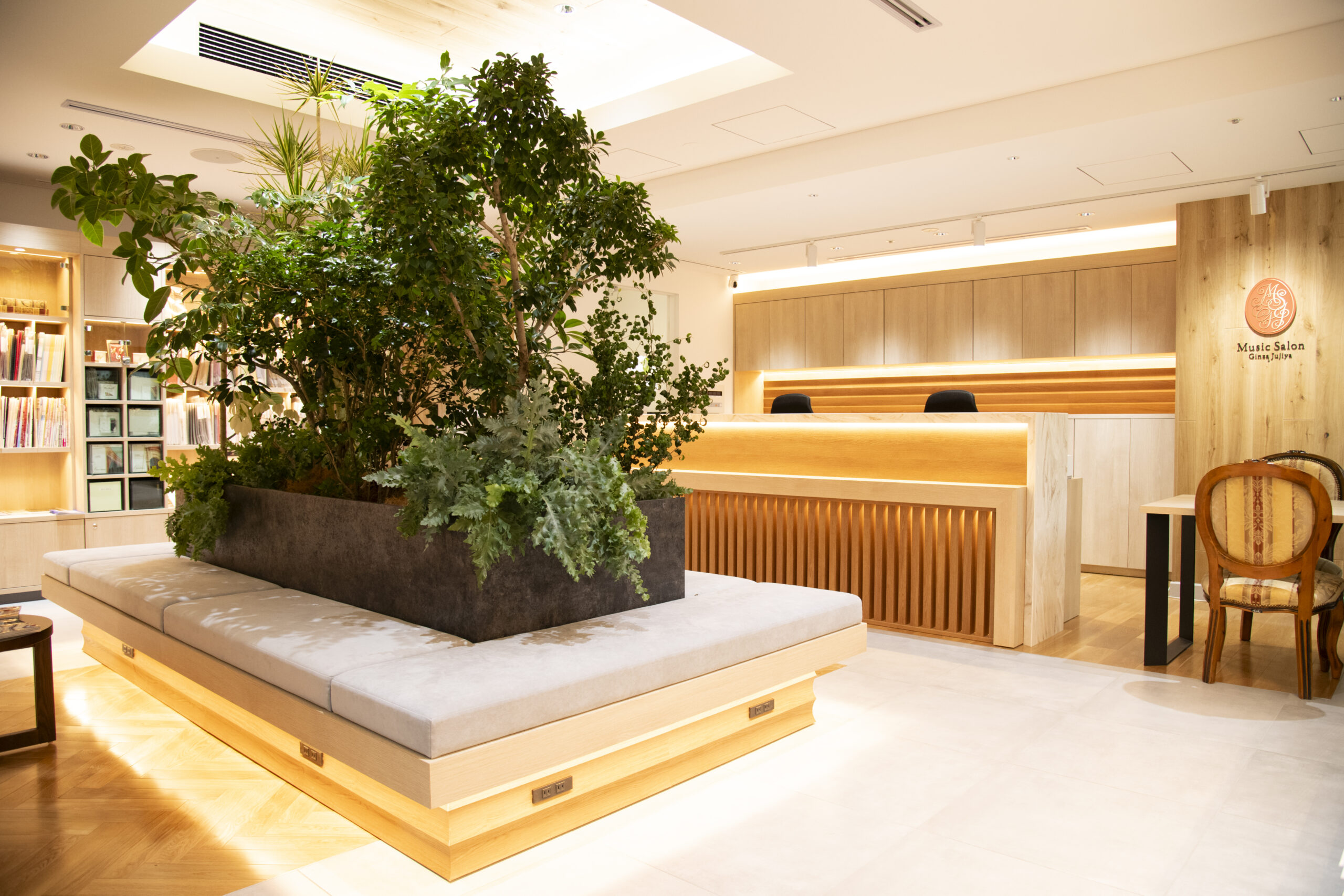 白木と植栽を基調としたミュージックサロン銀座十字屋の受付