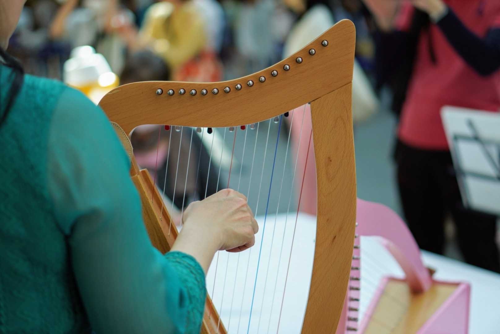 体験会で小型ハープを弾く様子