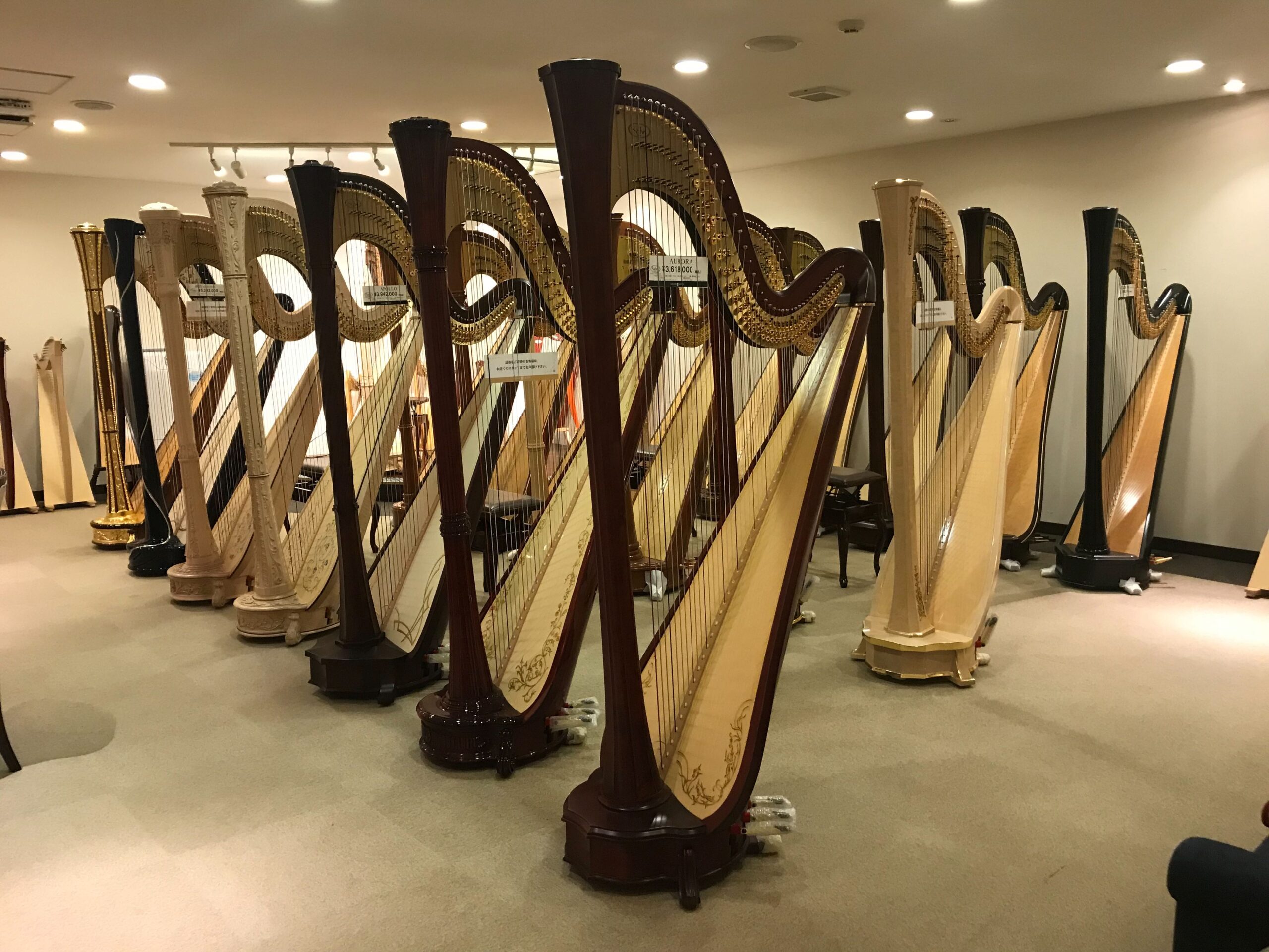 楽器展示スペースに並ぶハープ