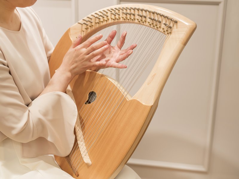 膝にのせたライアーの弦を、指の腹で撫でるようにして鳴らす手元