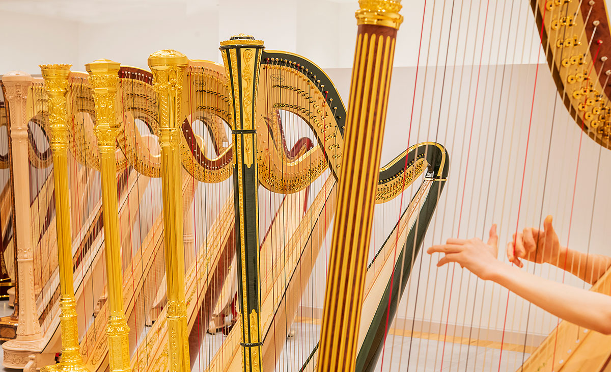 img_harp_selection_05.jpg