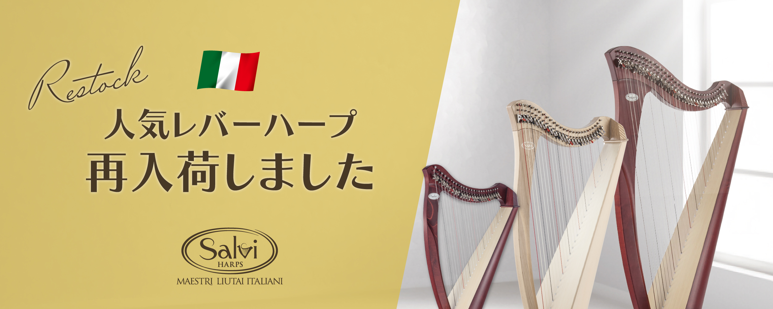 人気salviharpsハープ機種入荷