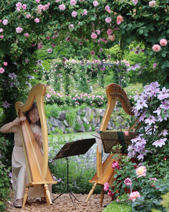 ハープ演奏　harp duo KaNa